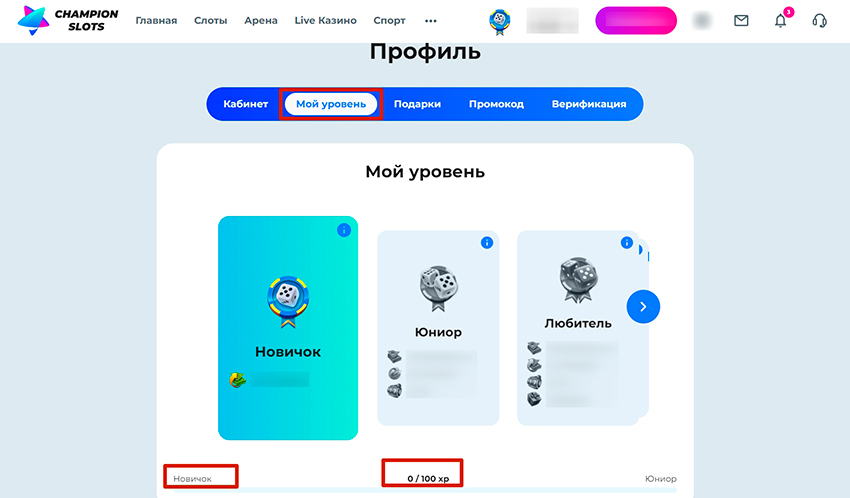 Раздел программы лояльности