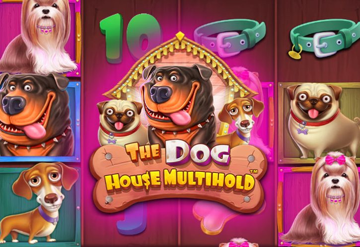 The Dog House Multihold